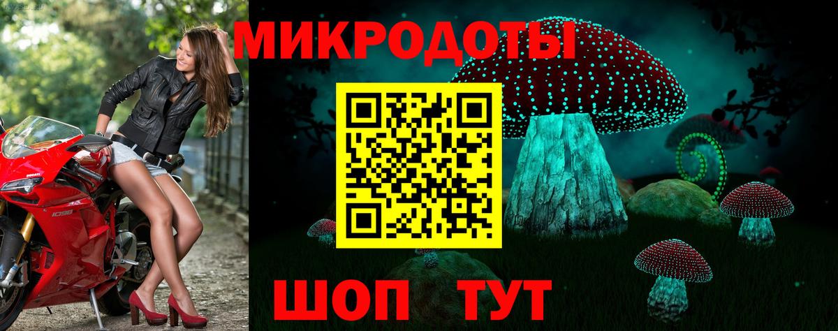 Галлюциногенные грибы Psilocybine cubensis Магадан